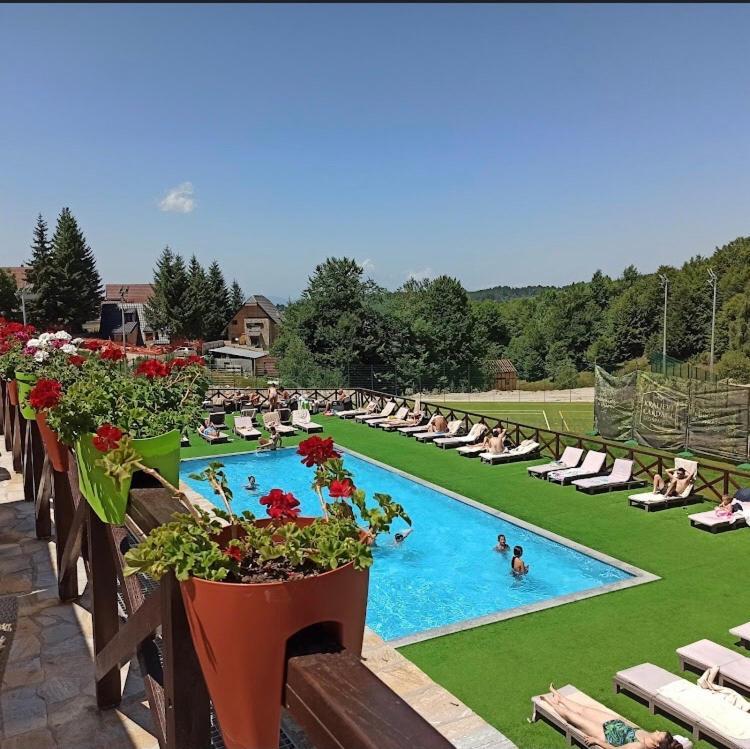 Apartament Kraljevi Cardaci Olja Kopaonik Zewnętrze zdjęcie